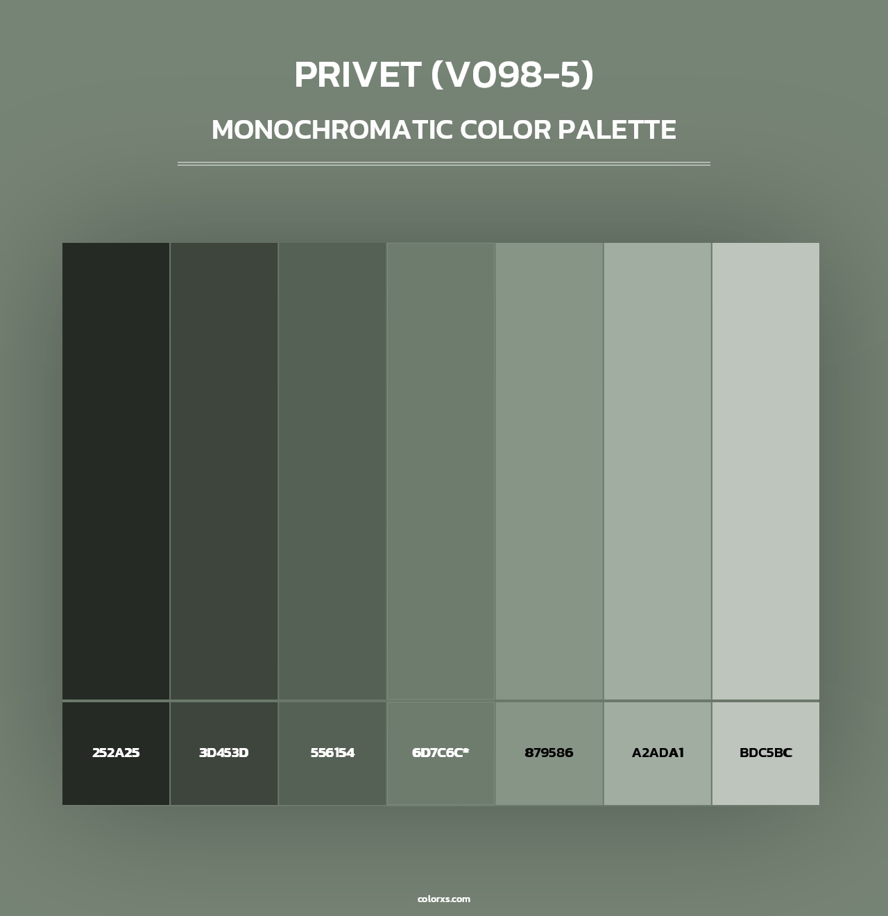 Privet (V098-5) - Monochromatic Color Palette