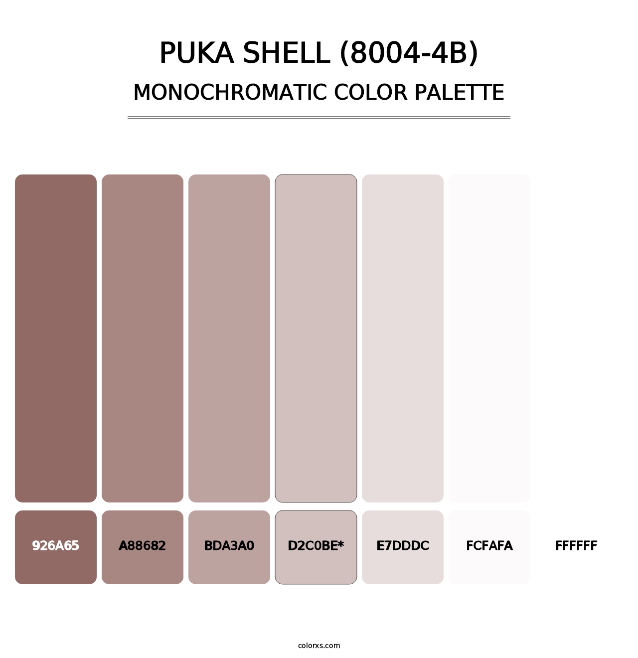 Puka Shell (8004-4B) - Monochromatic Color Palette