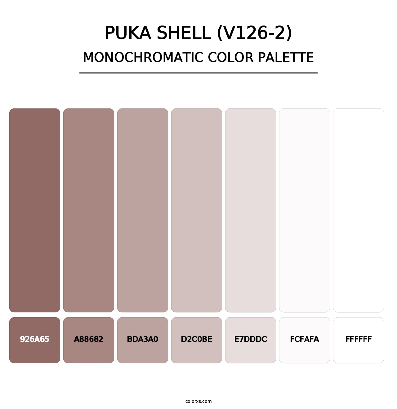 Puka Shell (V126-2) - Monochromatic Color Palette