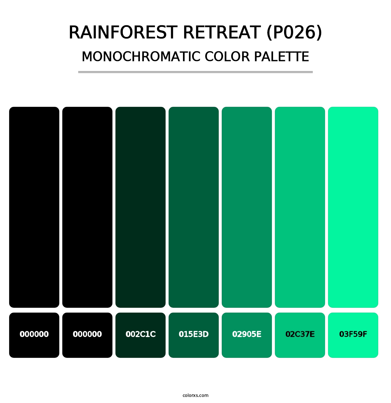 Rainforest Retreat (P026) - Monochromatic Color Palette