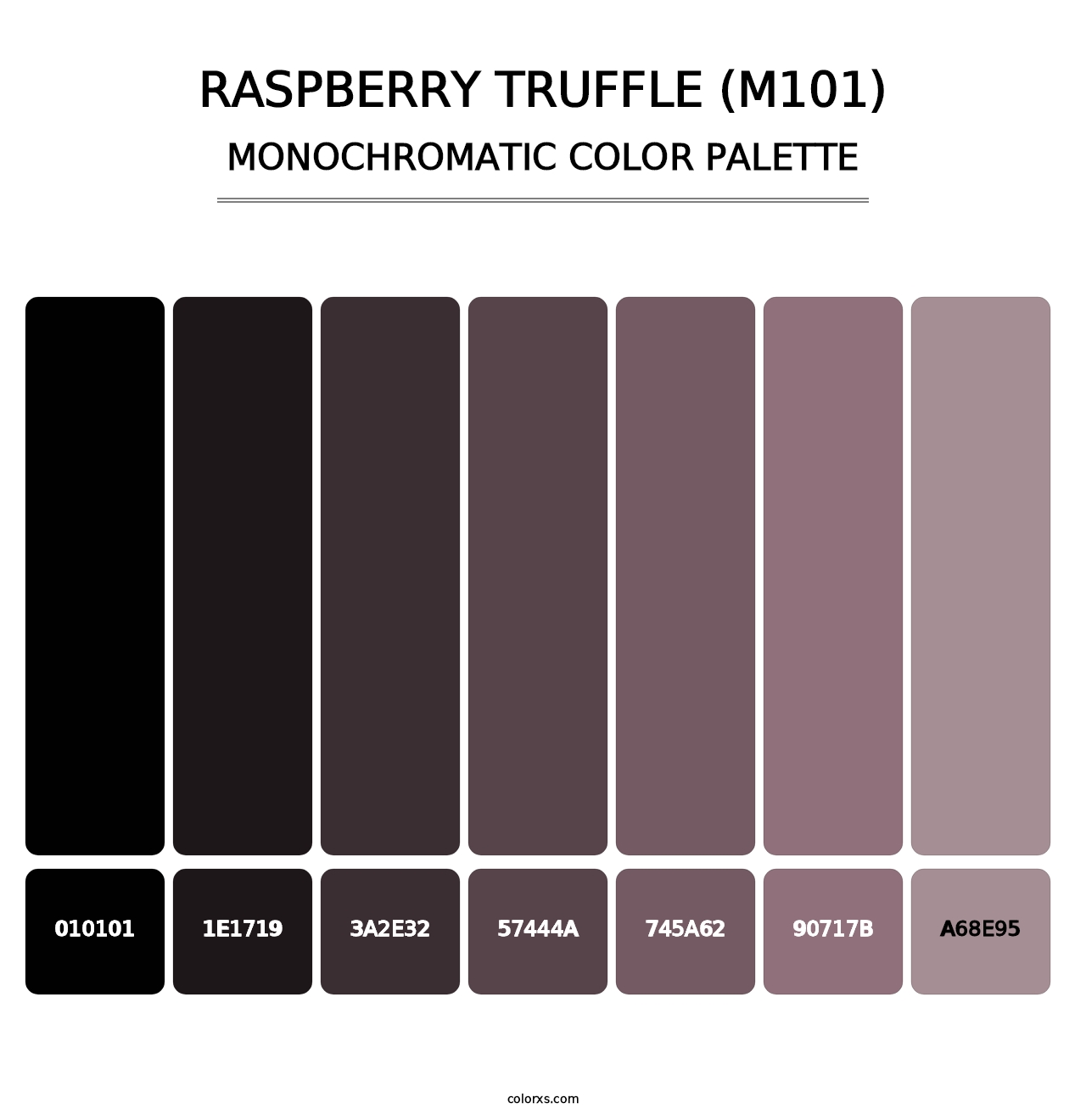 Raspberry Truffle (M101) - Monochromatic Color Palette