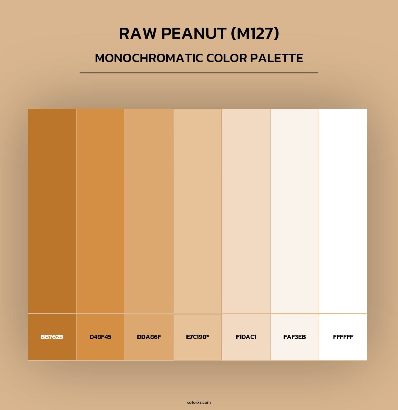 Raw Peanut (M127) - Monochromatic Color Palette