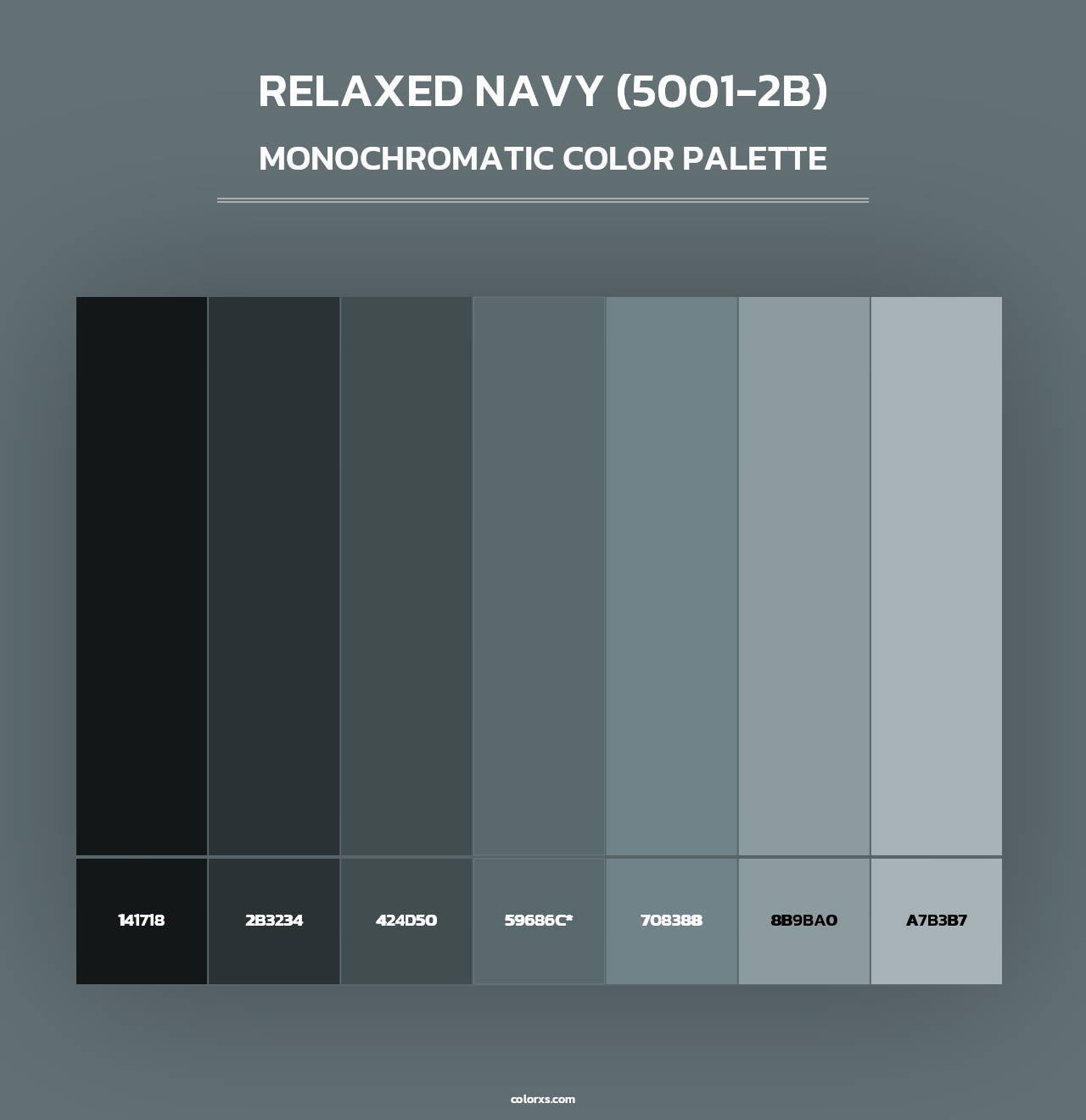 Relaxed Navy (5001-2B) - Monochromatic Color Palette