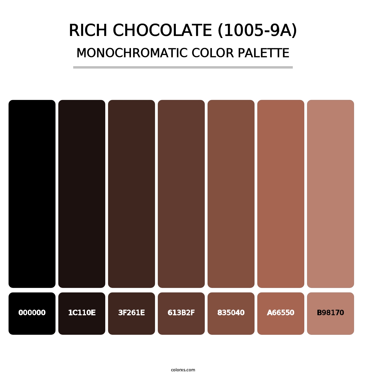 Rich Chocolate (1005-9A) - Monochromatic Color Palette