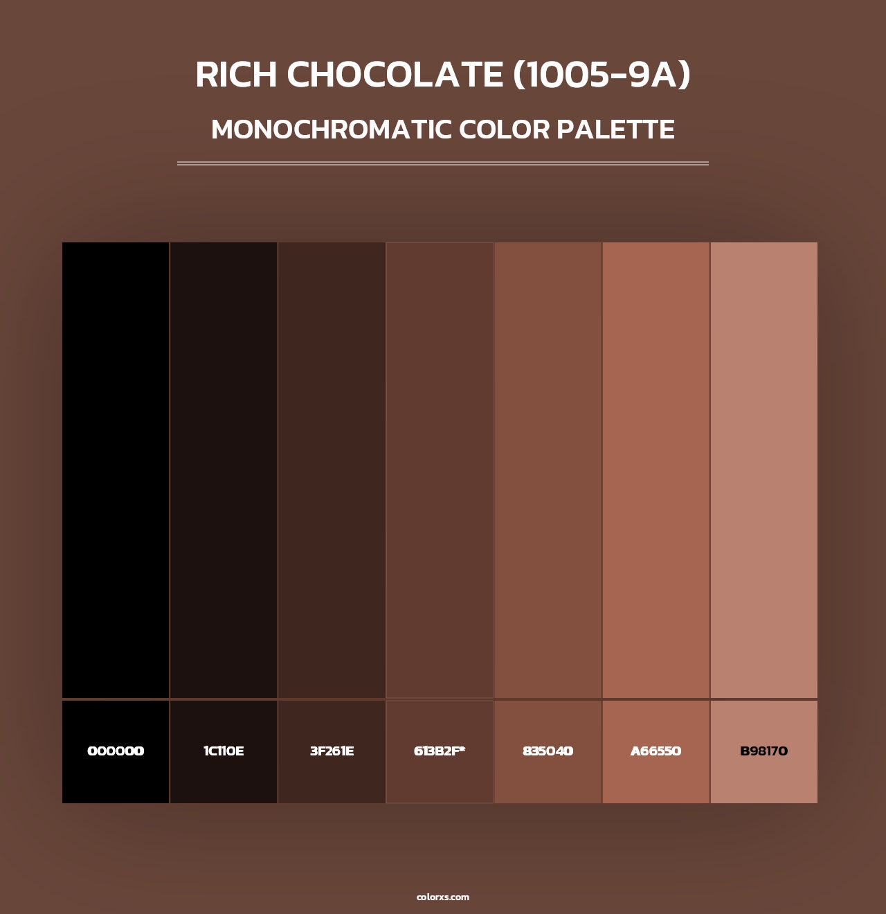 Rich Chocolate (1005-9A) - Monochromatic Color Palette