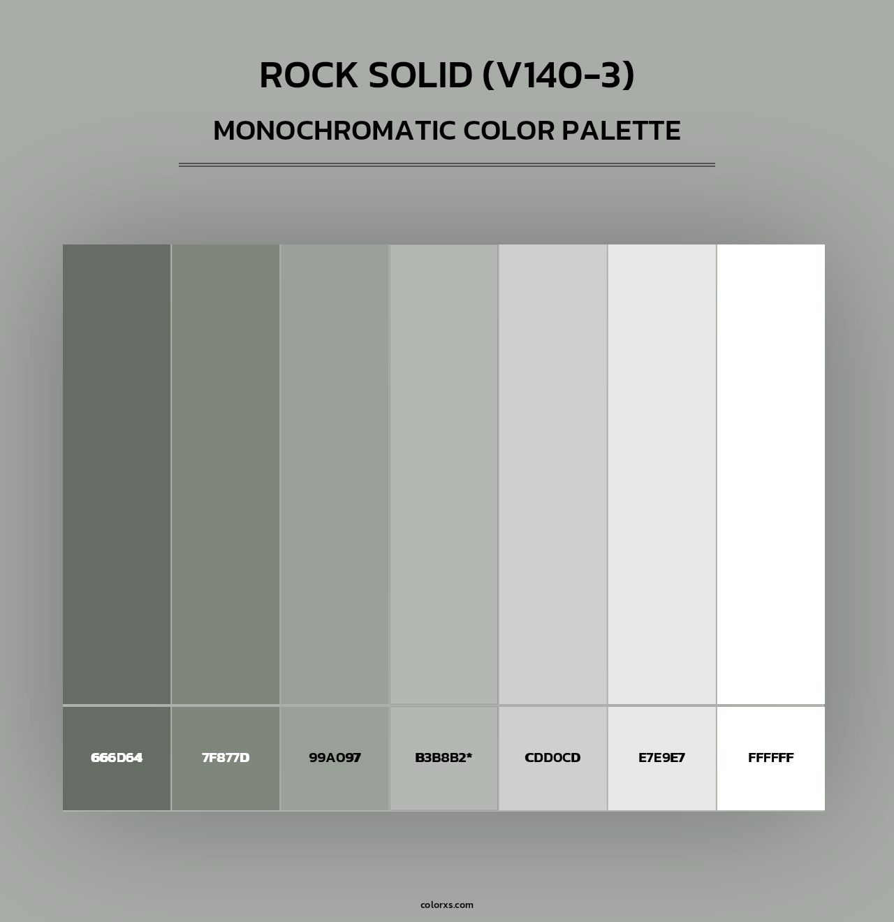 Rock Solid (V140-3) - Monochromatic Color Palette