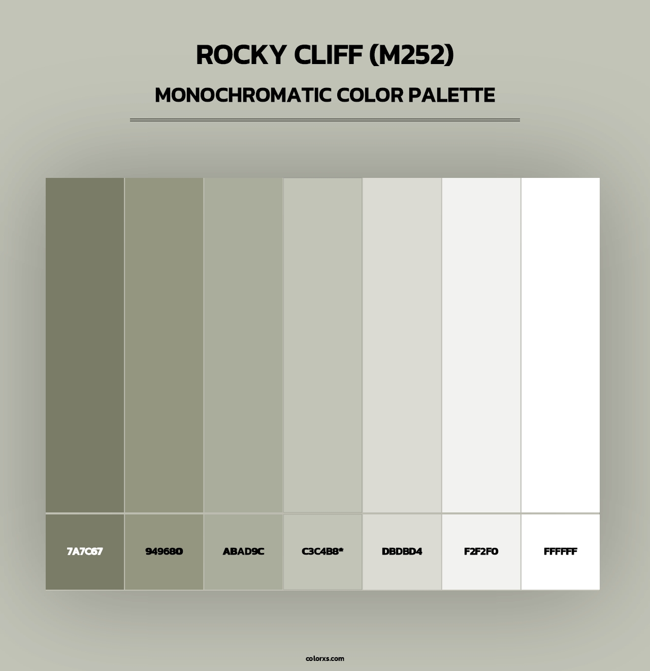 Rocky Cliff (M252) - Monochromatic Color Palette