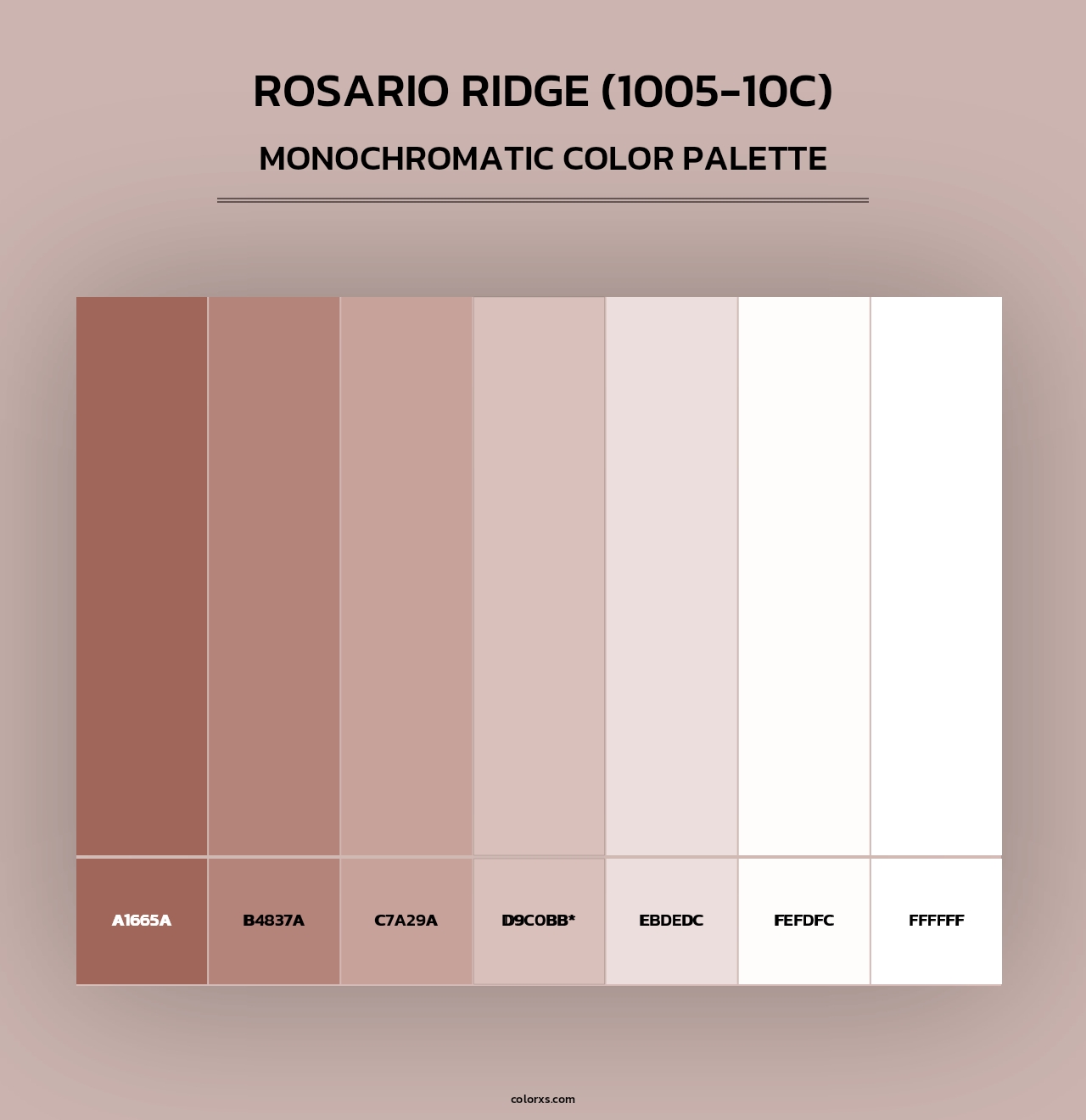 Rosario Ridge (1005-10C) - Monochromatic Color Palette