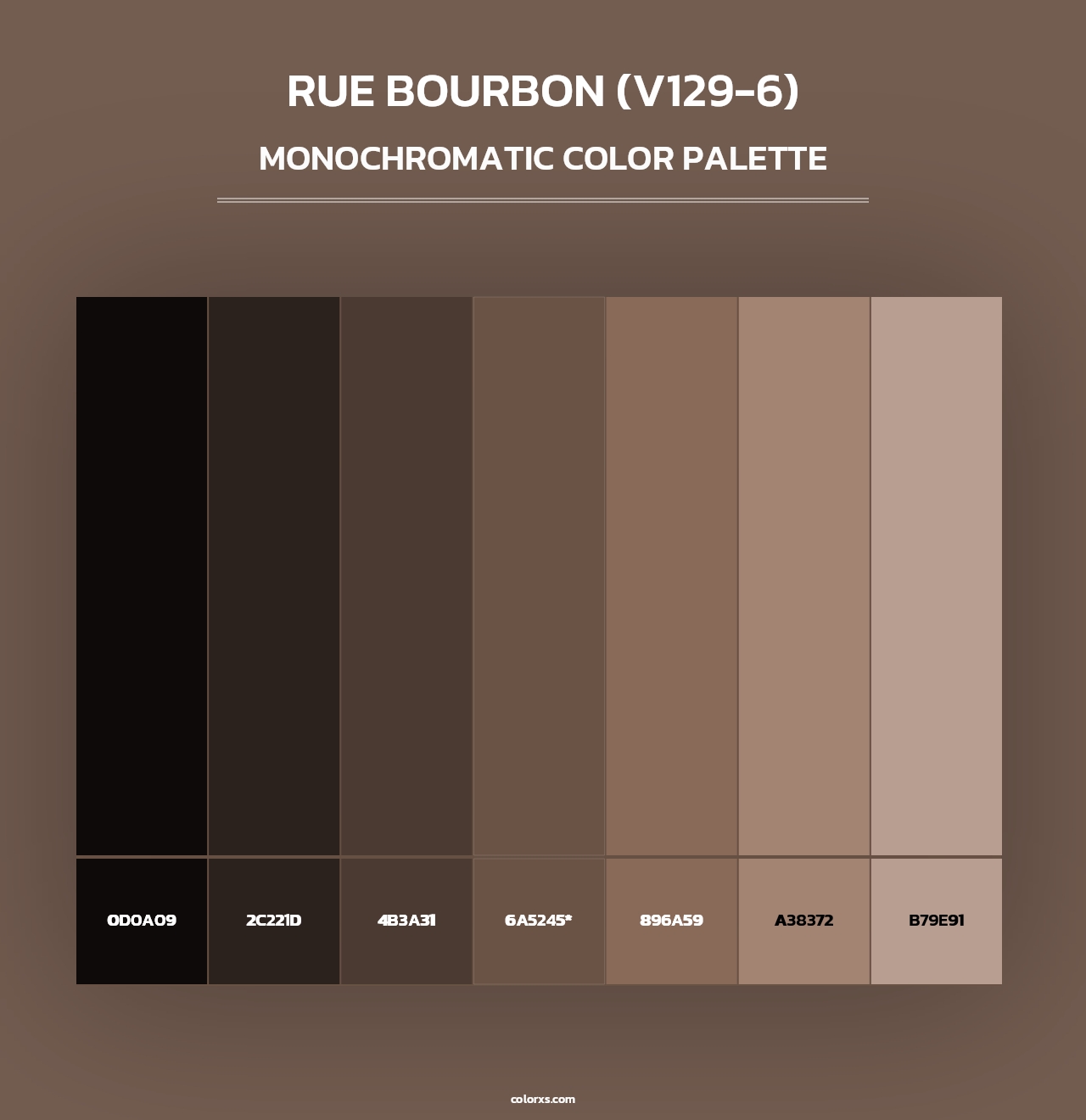 Rue Bourbon (V129-6) - Monochromatic Color Palette