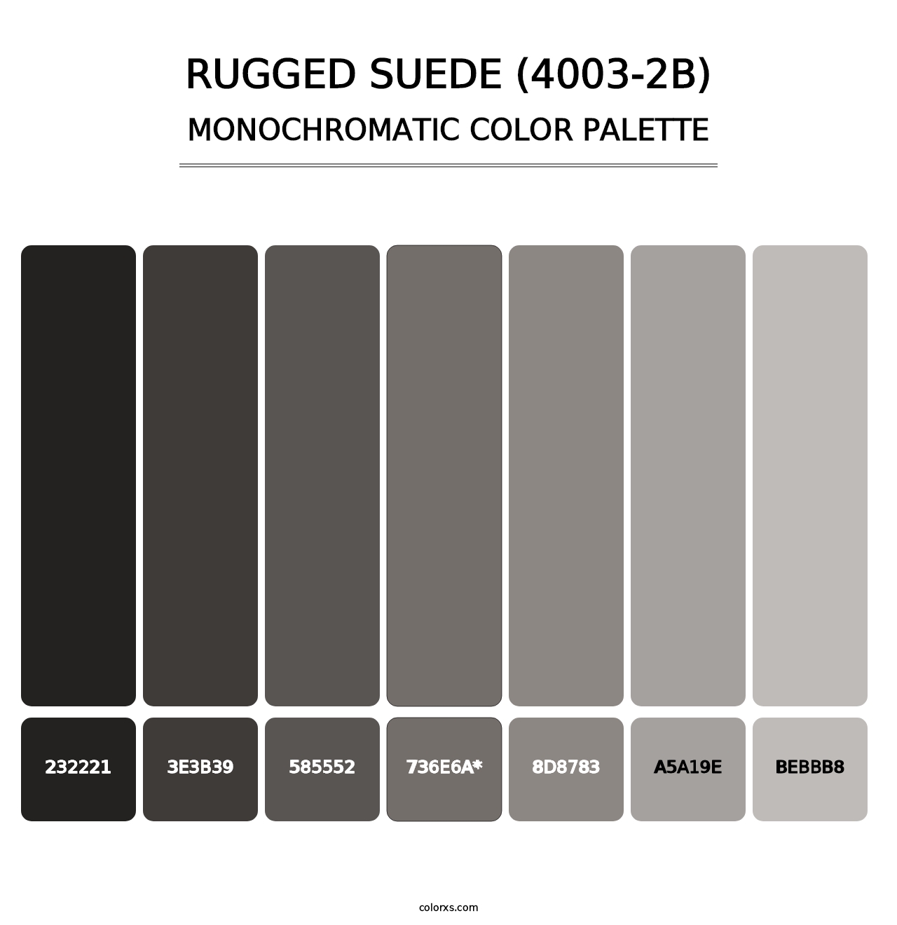 Rugged Suede (4003-2B) - Monochromatic Color Palette