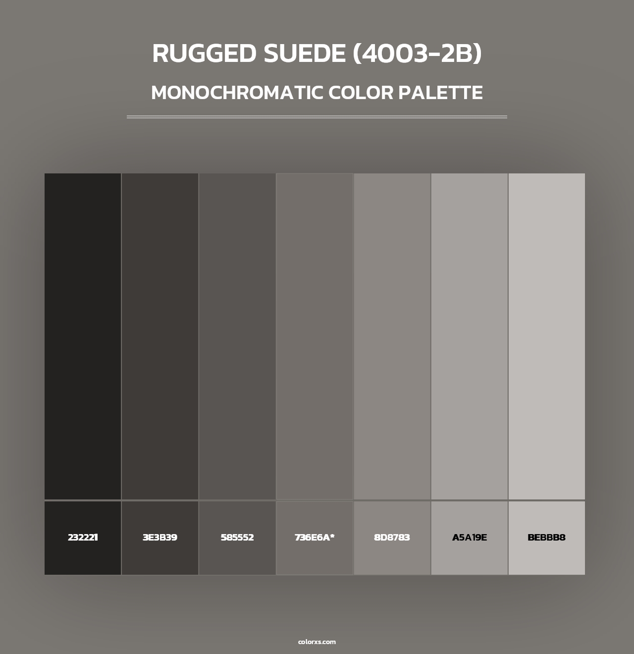Rugged Suede (4003-2B) - Monochromatic Color Palette