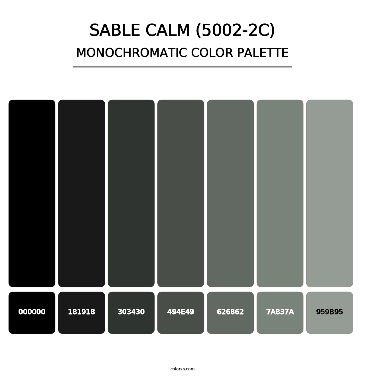 Sable Calm (5002-2C) - Monochromatic Color Palette