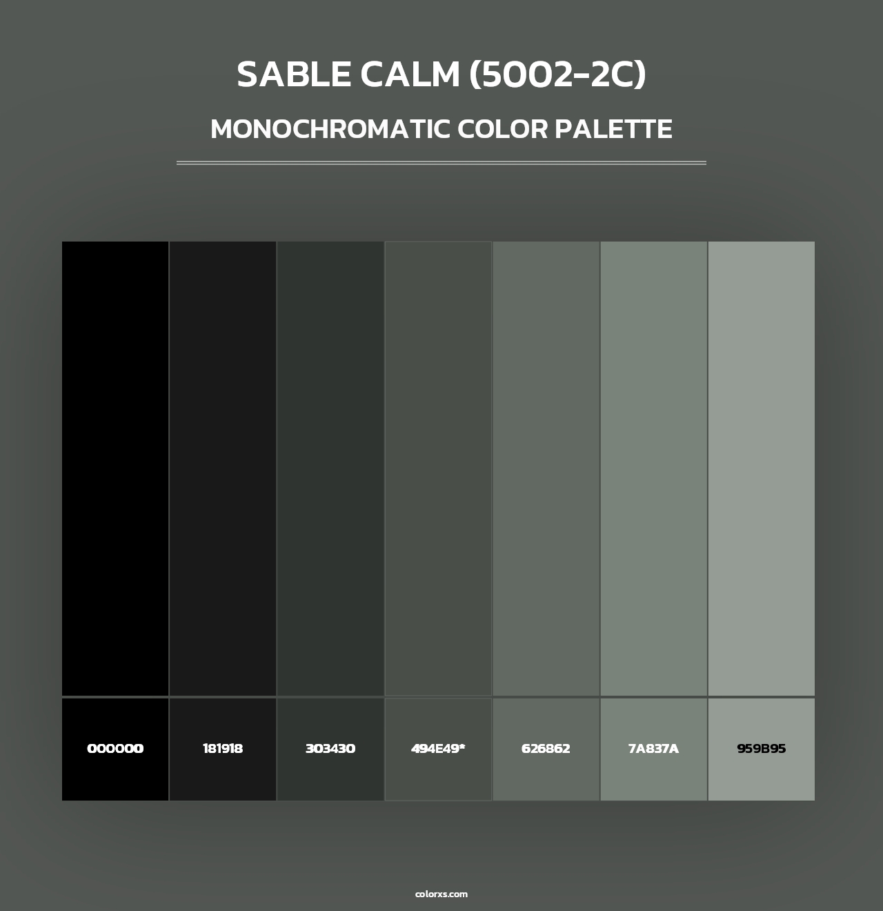 Sable Calm (5002-2C) - Monochromatic Color Palette