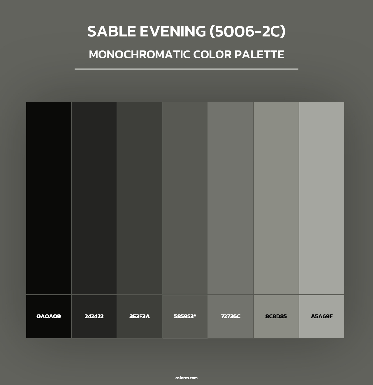 Sable Evening (5006-2C) - Monochromatic Color Palette