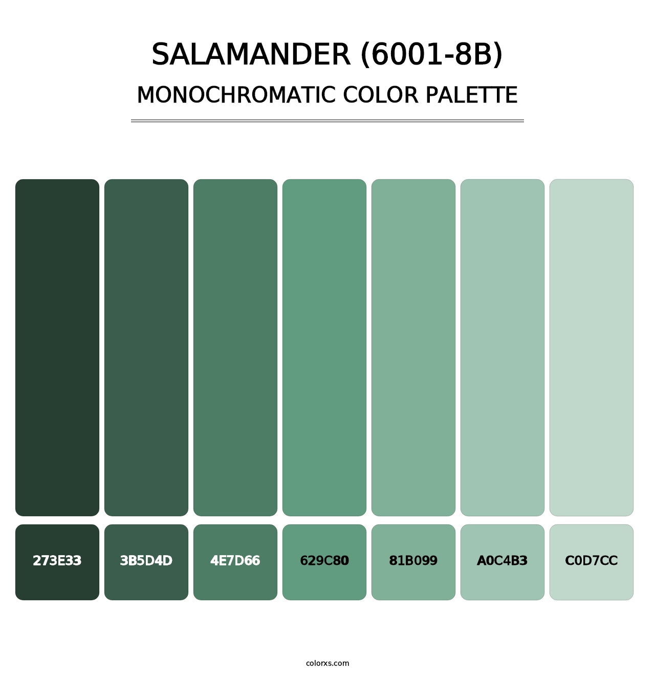Salamander (6001-8B) - Monochromatic Color Palette