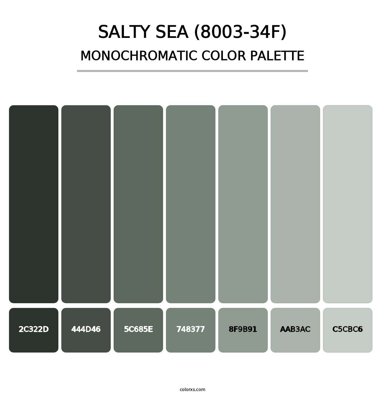Salty Sea (8003-34F) - Monochromatic Color Palette