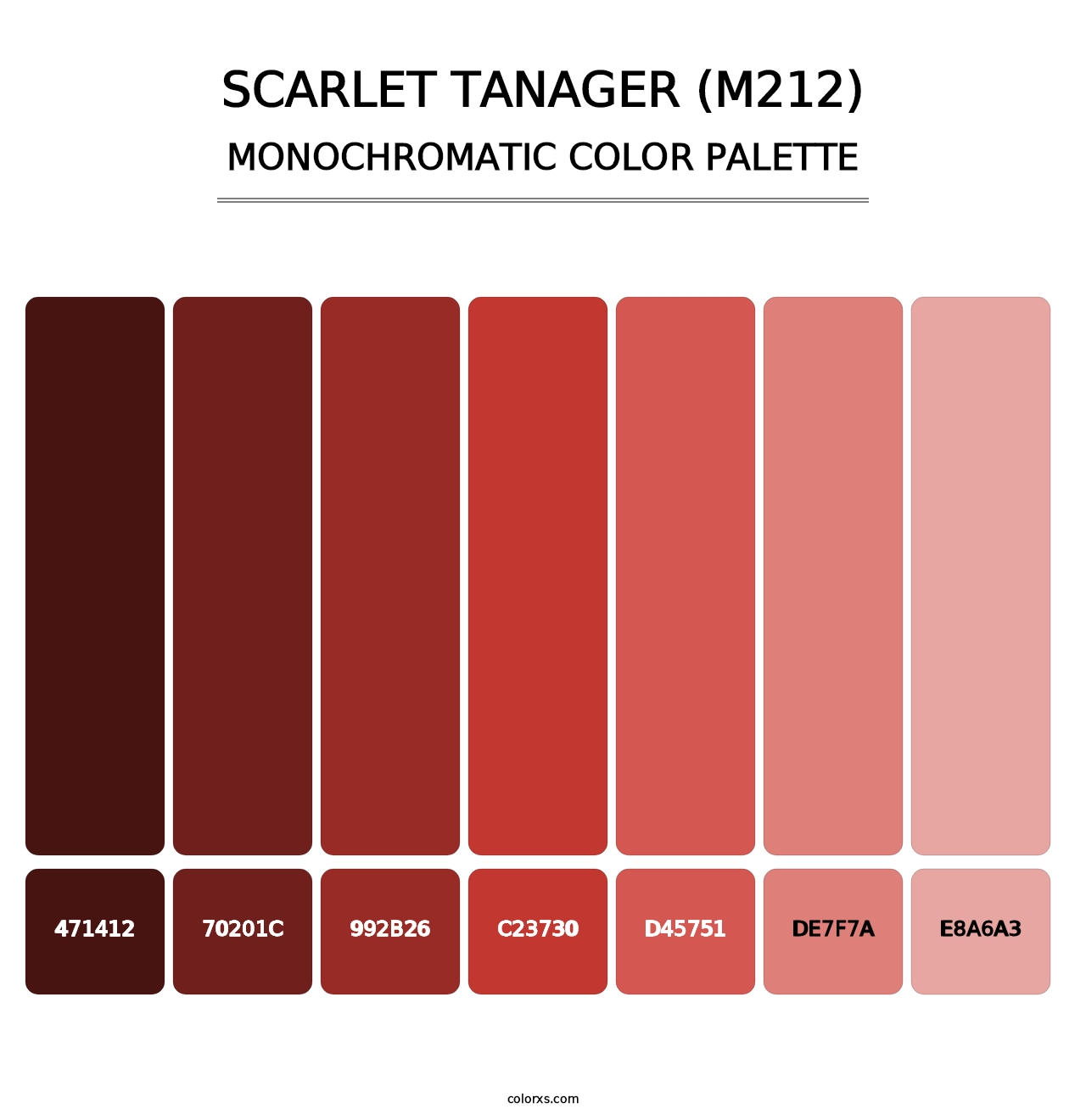 Scarlet Tanager (M212) - Monochromatic Color Palette
