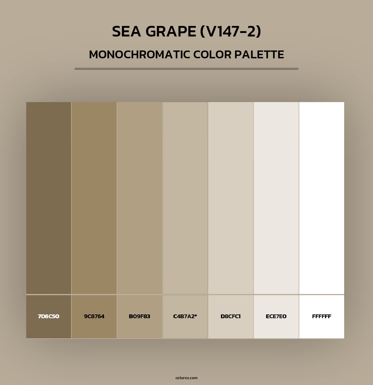 Sea Grape (V147-2) - Monochromatic Color Palette