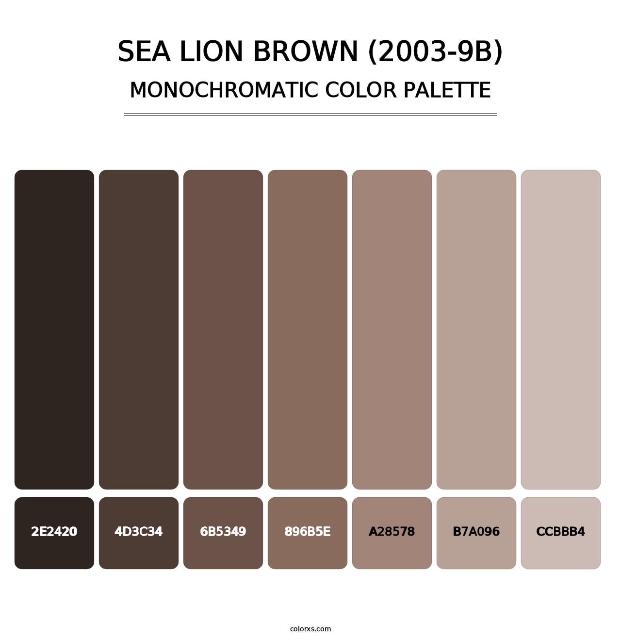 Sea Lion Brown (2003-9B) - Monochromatic Color Palette