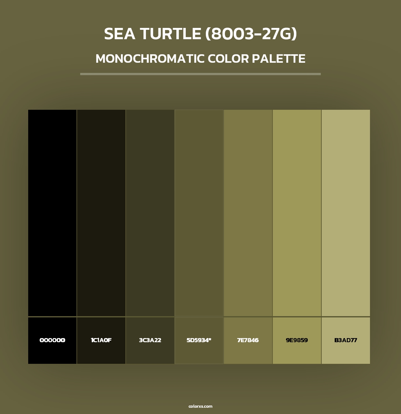 Sea Turtle (8003-27G) - Monochromatic Color Palette