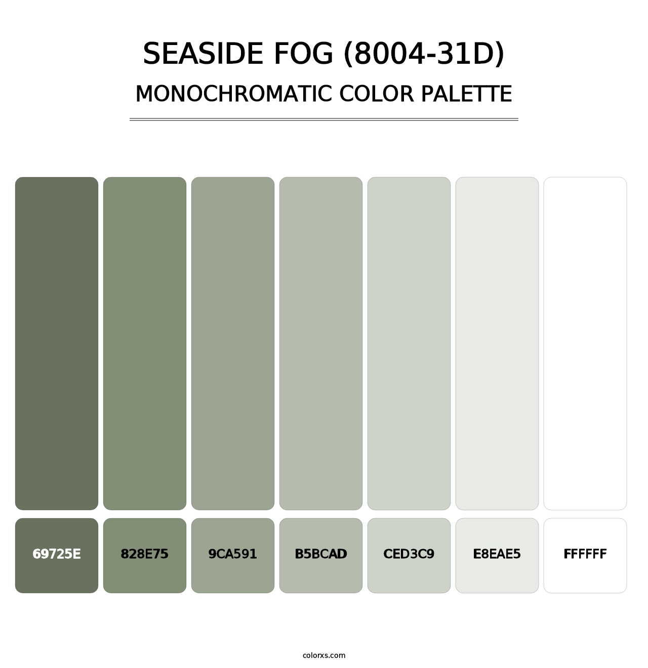 Seaside Fog (8004-31D) - Monochromatic Color Palette