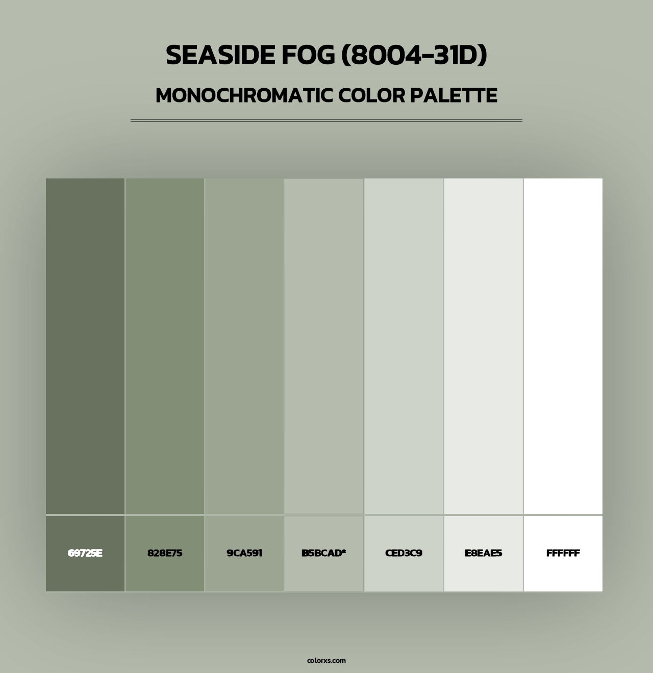 Seaside Fog (8004-31D) - Monochromatic Color Palette