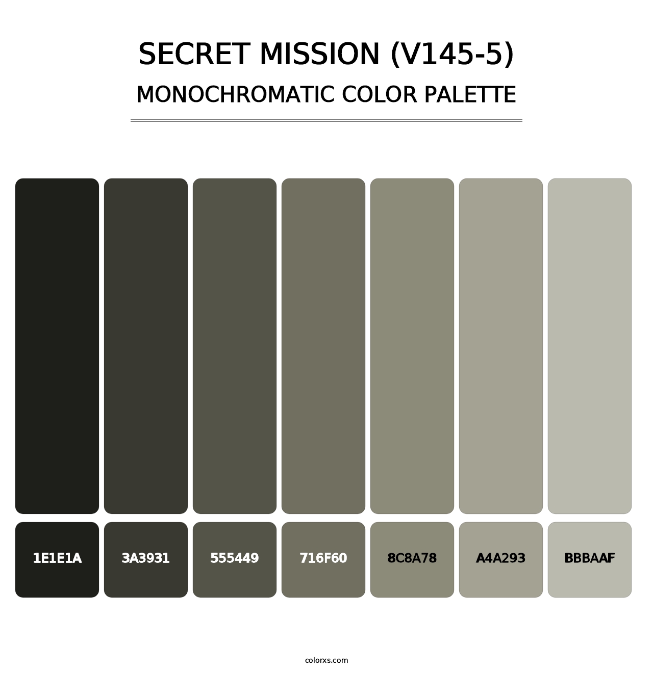 Secret Mission (V145-5) - Monochromatic Color Palette