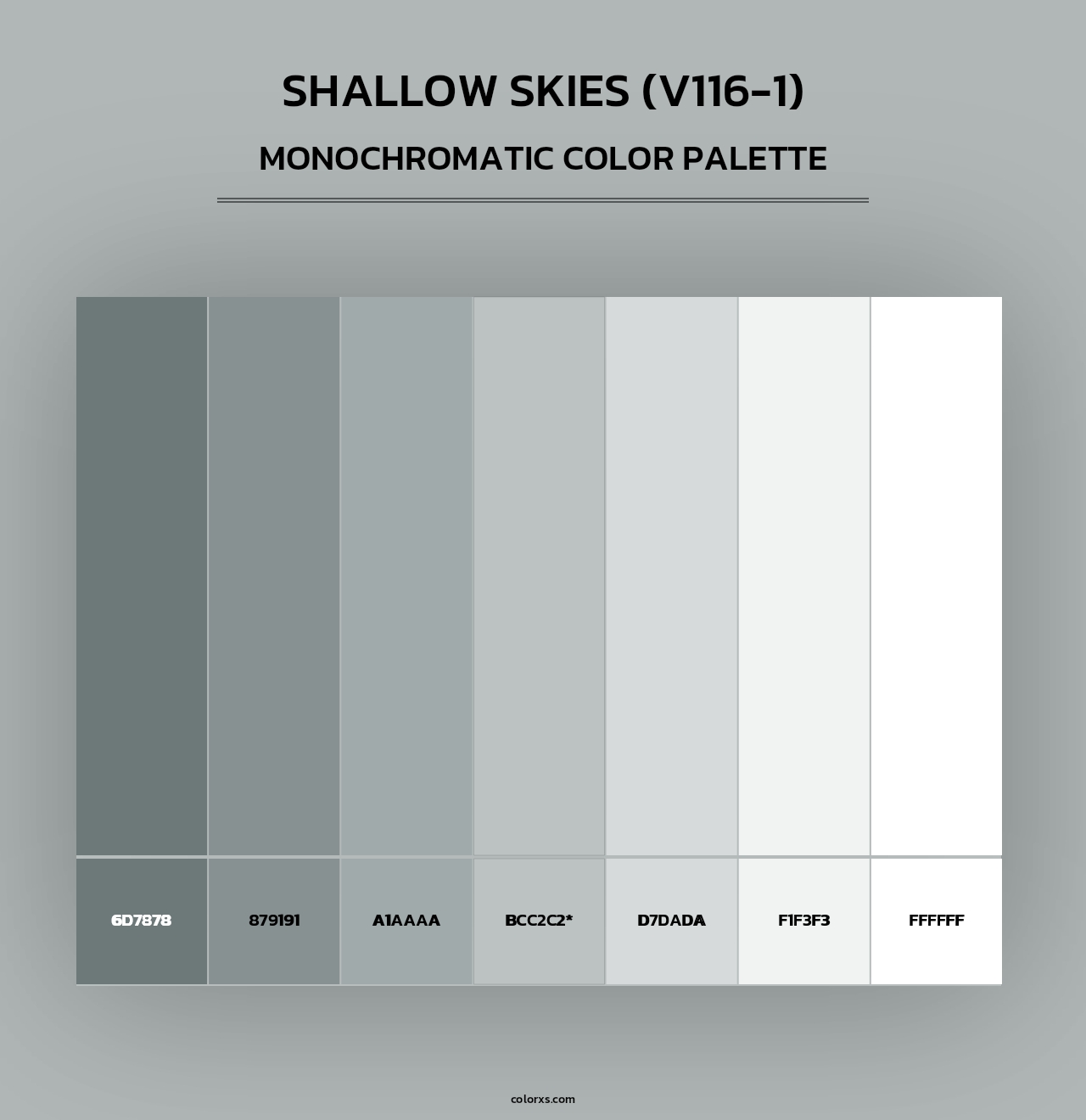 Shallow Skies (V116-1) - Monochromatic Color Palette