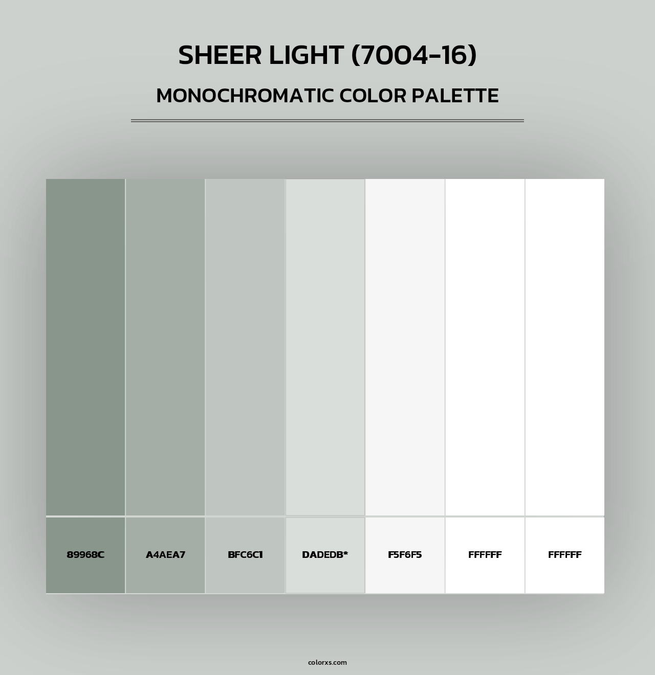 Sheer Light (7004-16) - Monochromatic Color Palette