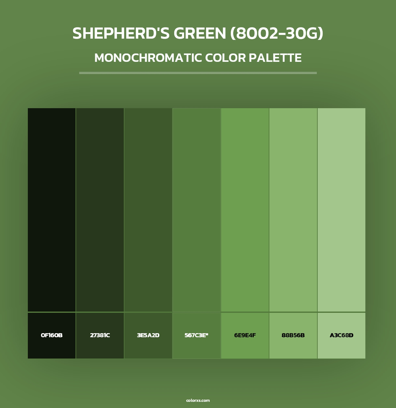 Shepherd's Green (8002-30G) - Monochromatic Color Palette