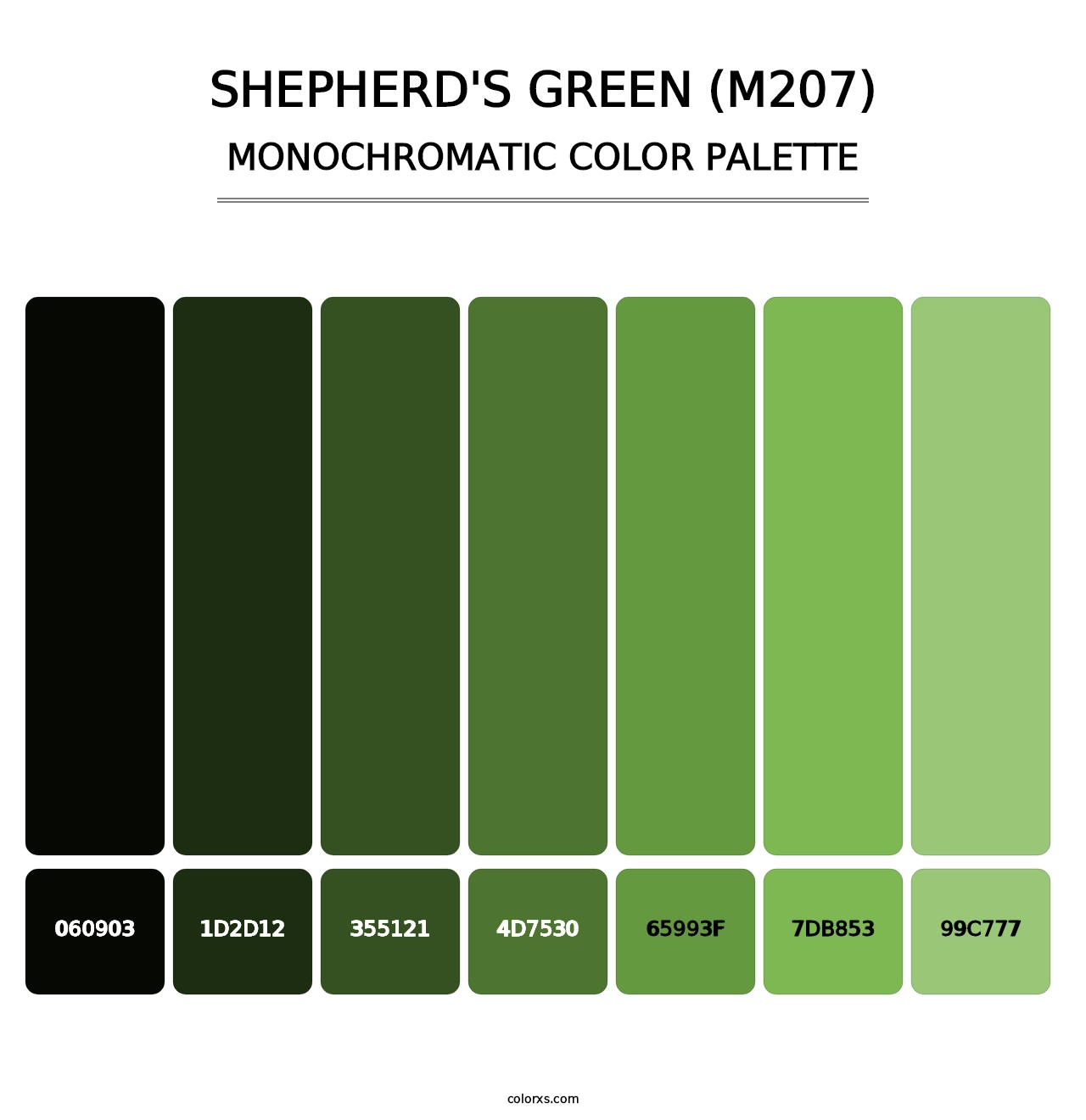 Shepherd's Green (M207) - Monochromatic Color Palette