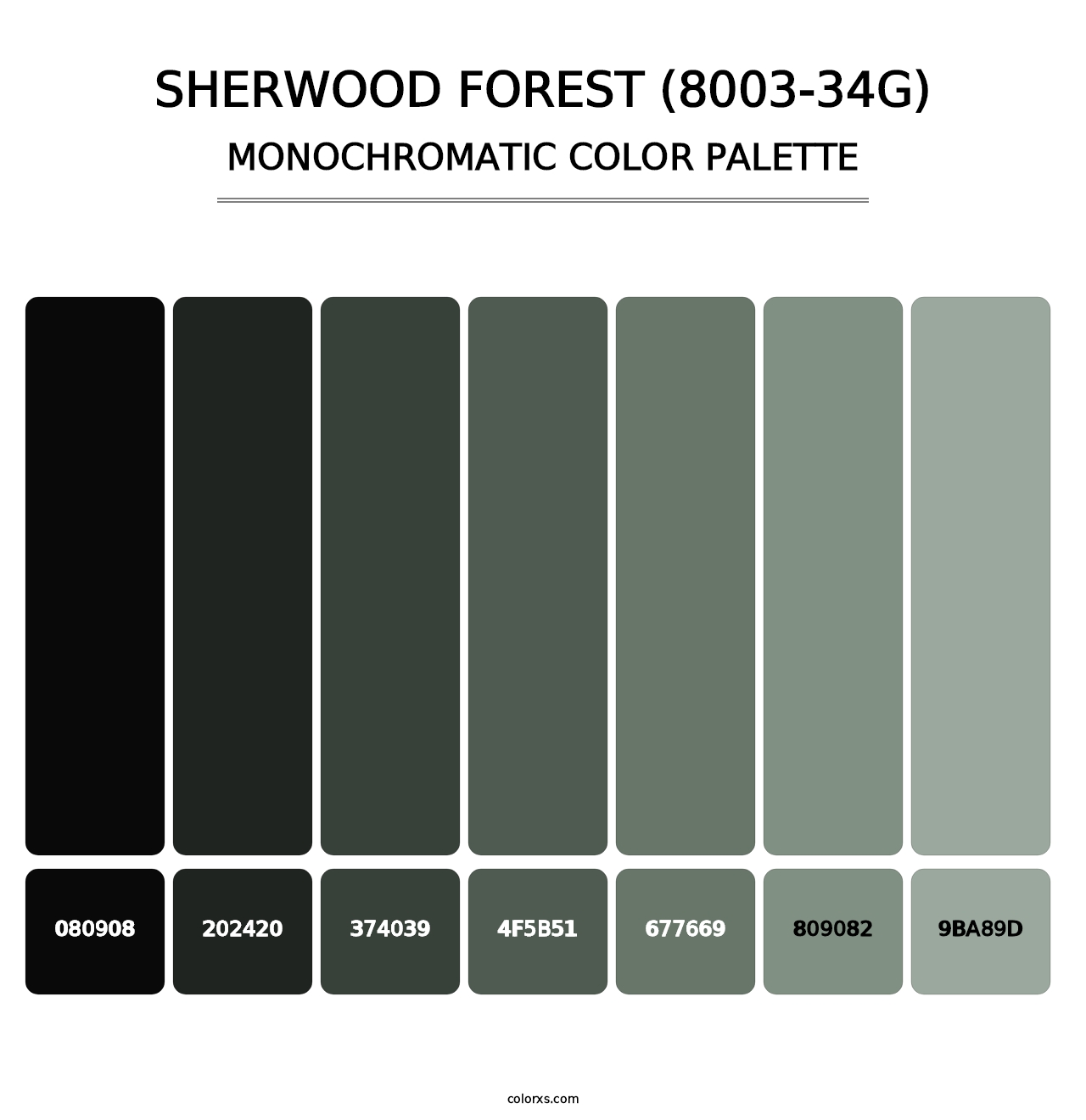 Sherwood Forest (8003-34G) - Monochromatic Color Palette