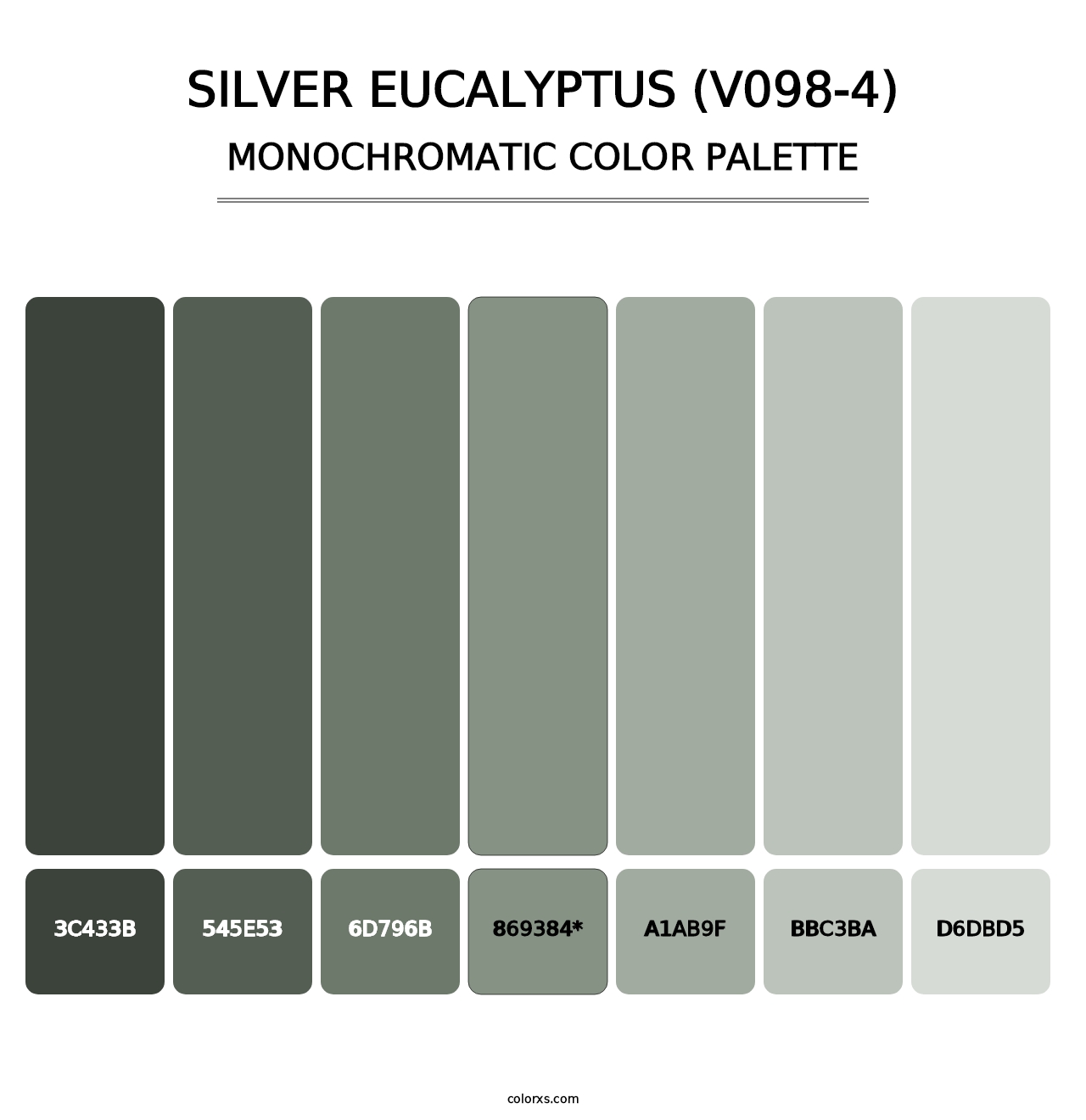 Silver Eucalyptus (V098-4) - Monochromatic Color Palette