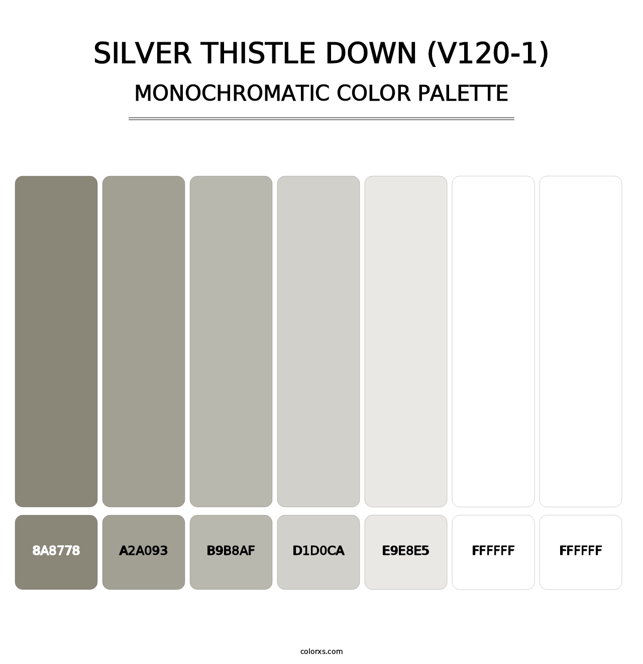 Silver Thistle Down (V120-1) - Monochromatic Color Palette