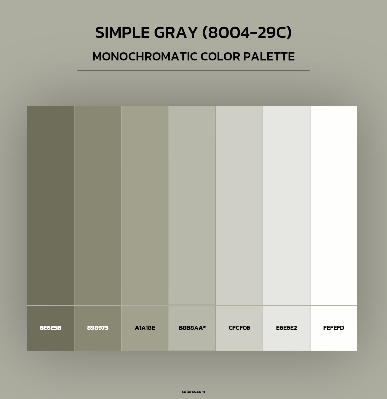 Simple Gray (8004-29C) - Monochromatic Color Palette