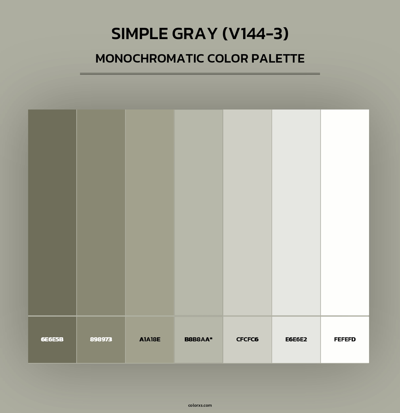 Simple Gray (V144-3) - Monochromatic Color Palette