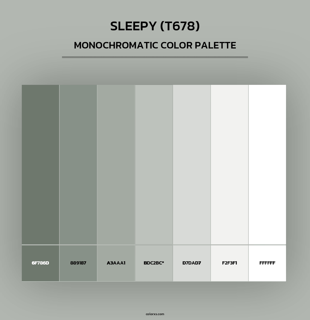 Sleepy (T678) - Monochromatic Color Palette