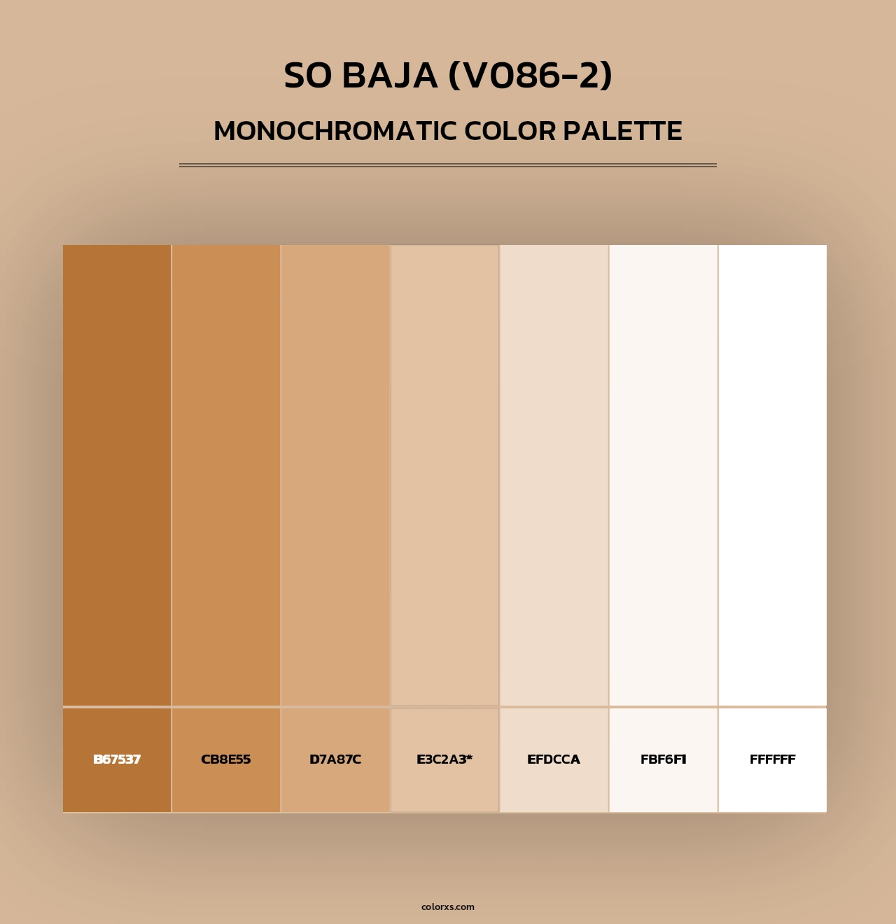 So Baja (V086-2) - Monochromatic Color Palette