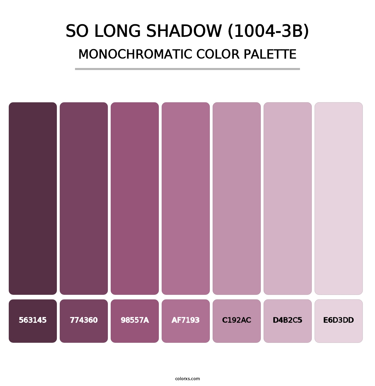 So Long Shadow (1004-3B) - Monochromatic Color Palette