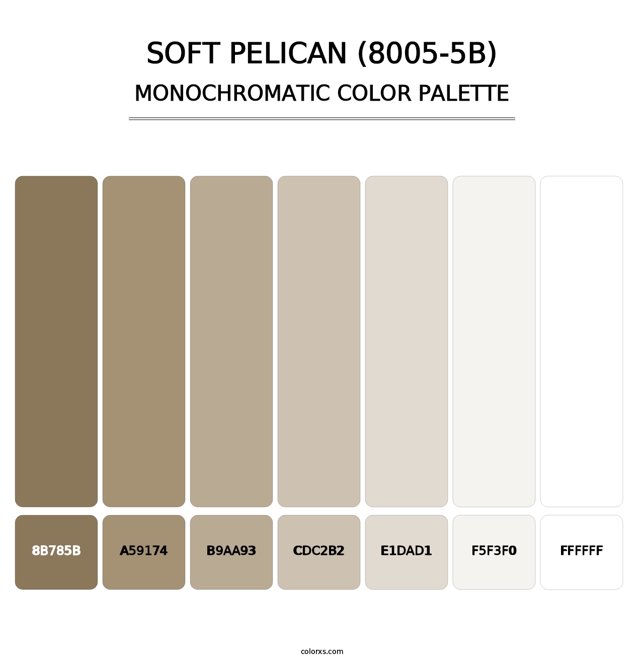 Soft Pelican (8005-5B) - Monochromatic Color Palette