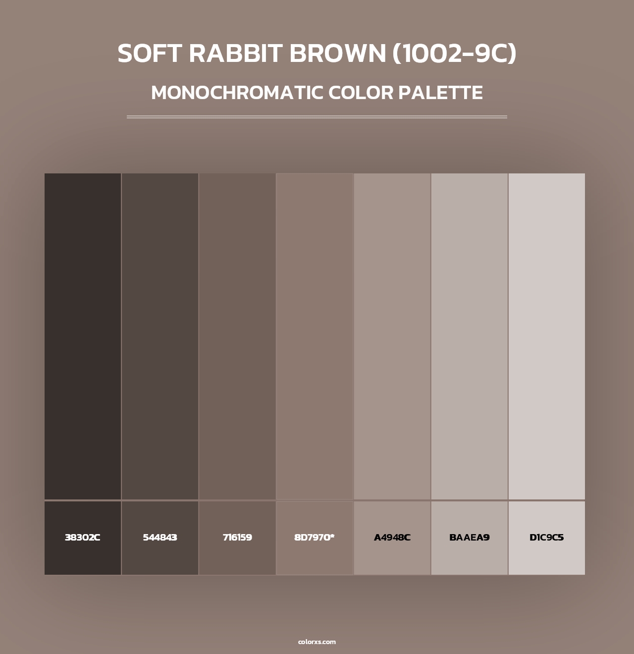 Soft Rabbit Brown (1002-9C) - Monochromatic Color Palette