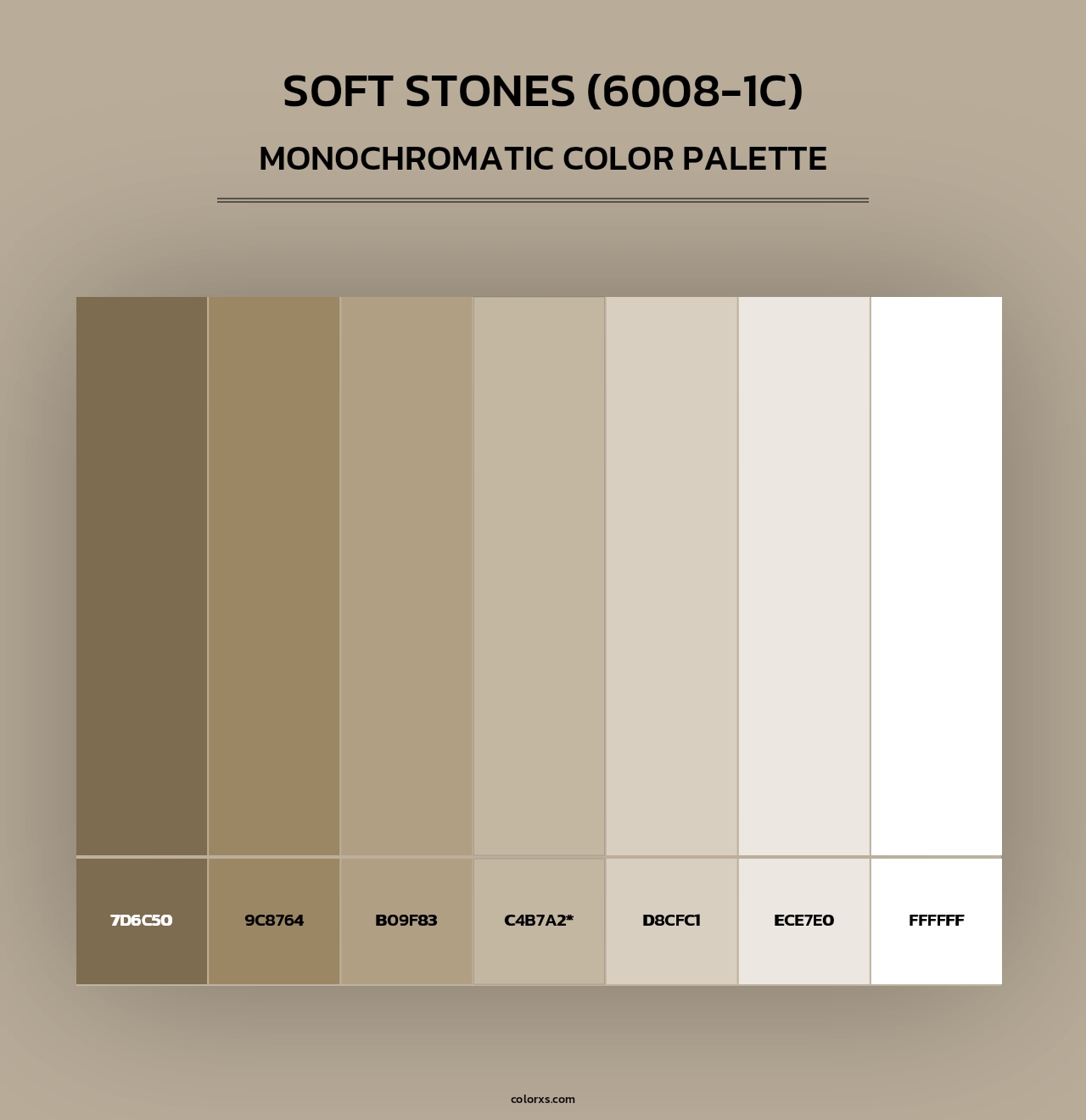 Soft Stones (6008-1C) - Monochromatic Color Palette