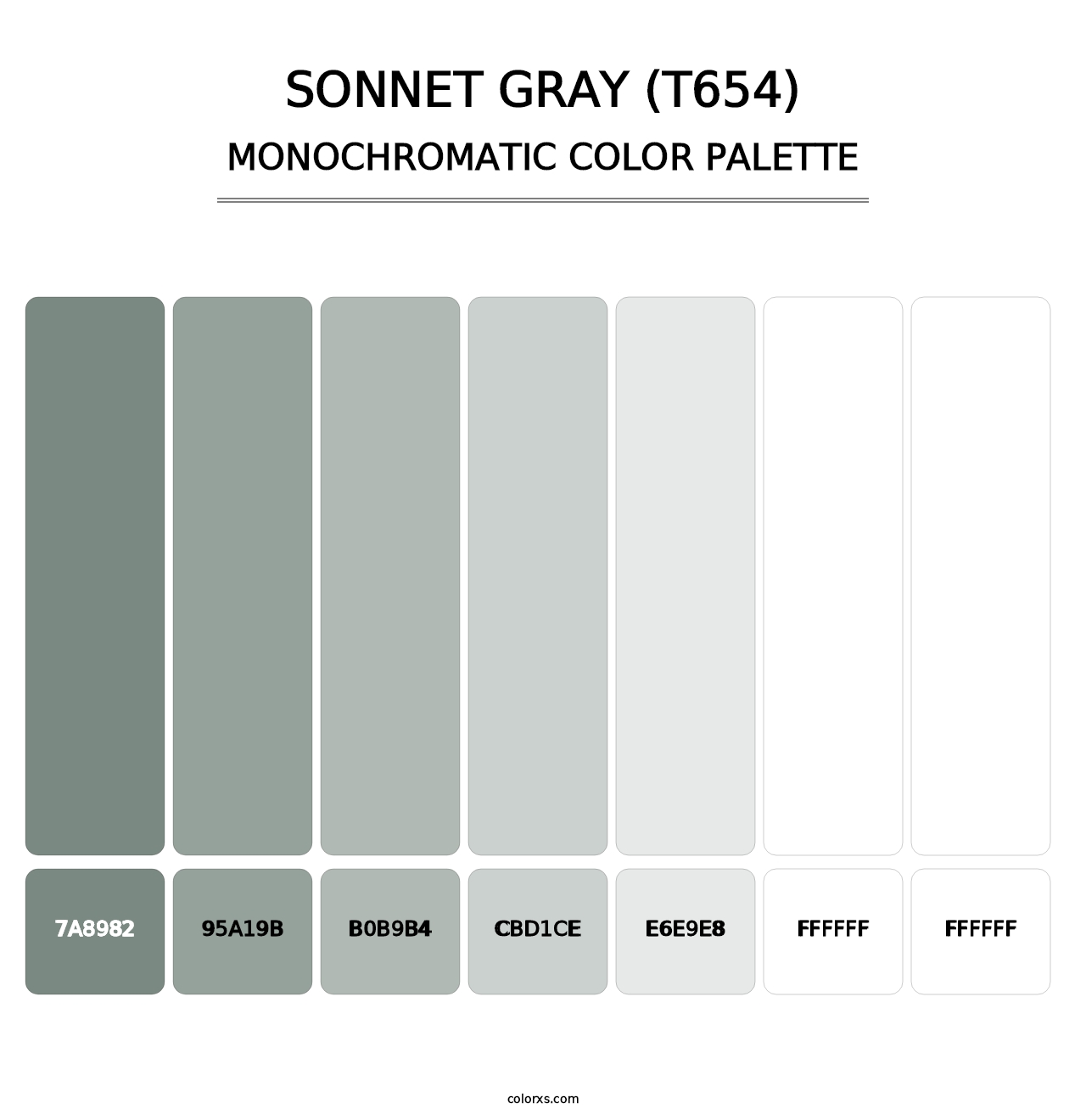 Sonnet Gray (T654) - Monochromatic Color Palette