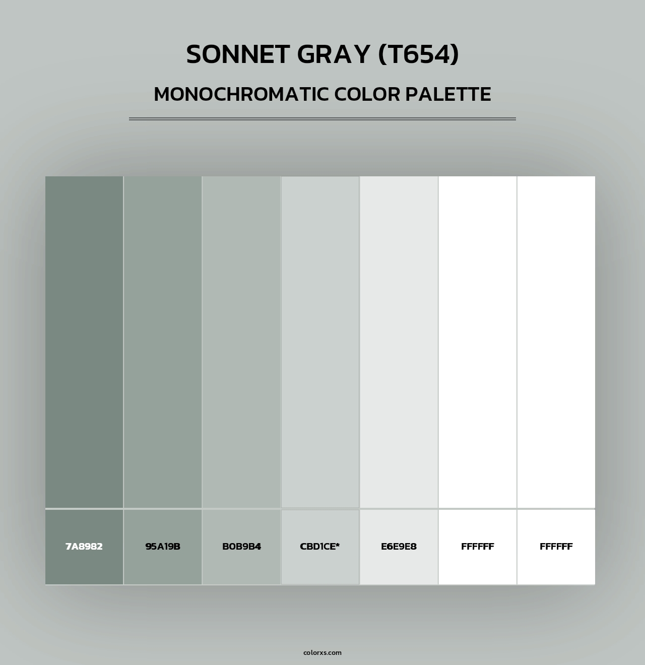 Sonnet Gray (T654) - Monochromatic Color Palette