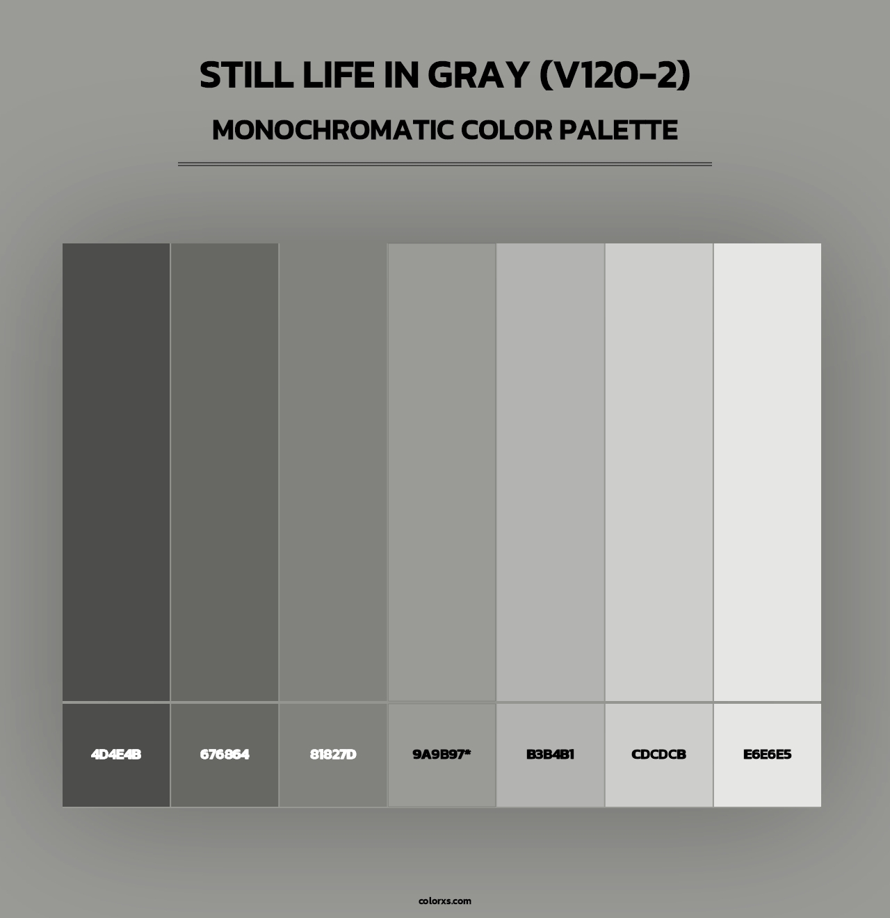 Still Life in Gray (V120-2) - Monochromatic Color Palette