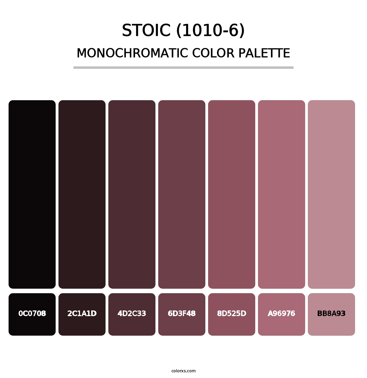 Stoic (1010-6) - Monochromatic Color Palette