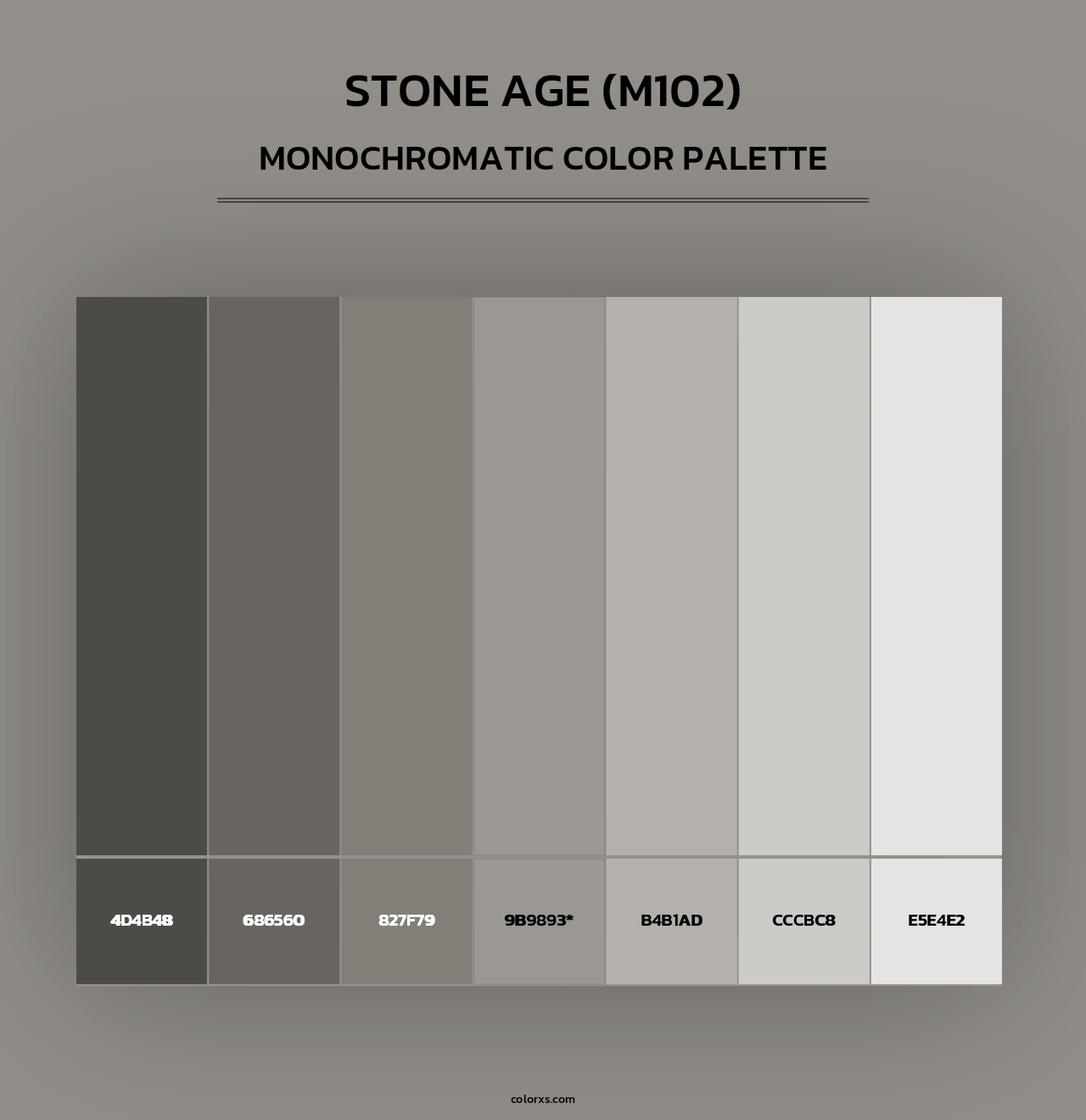 Stone Age (M102) - Monochromatic Color Palette