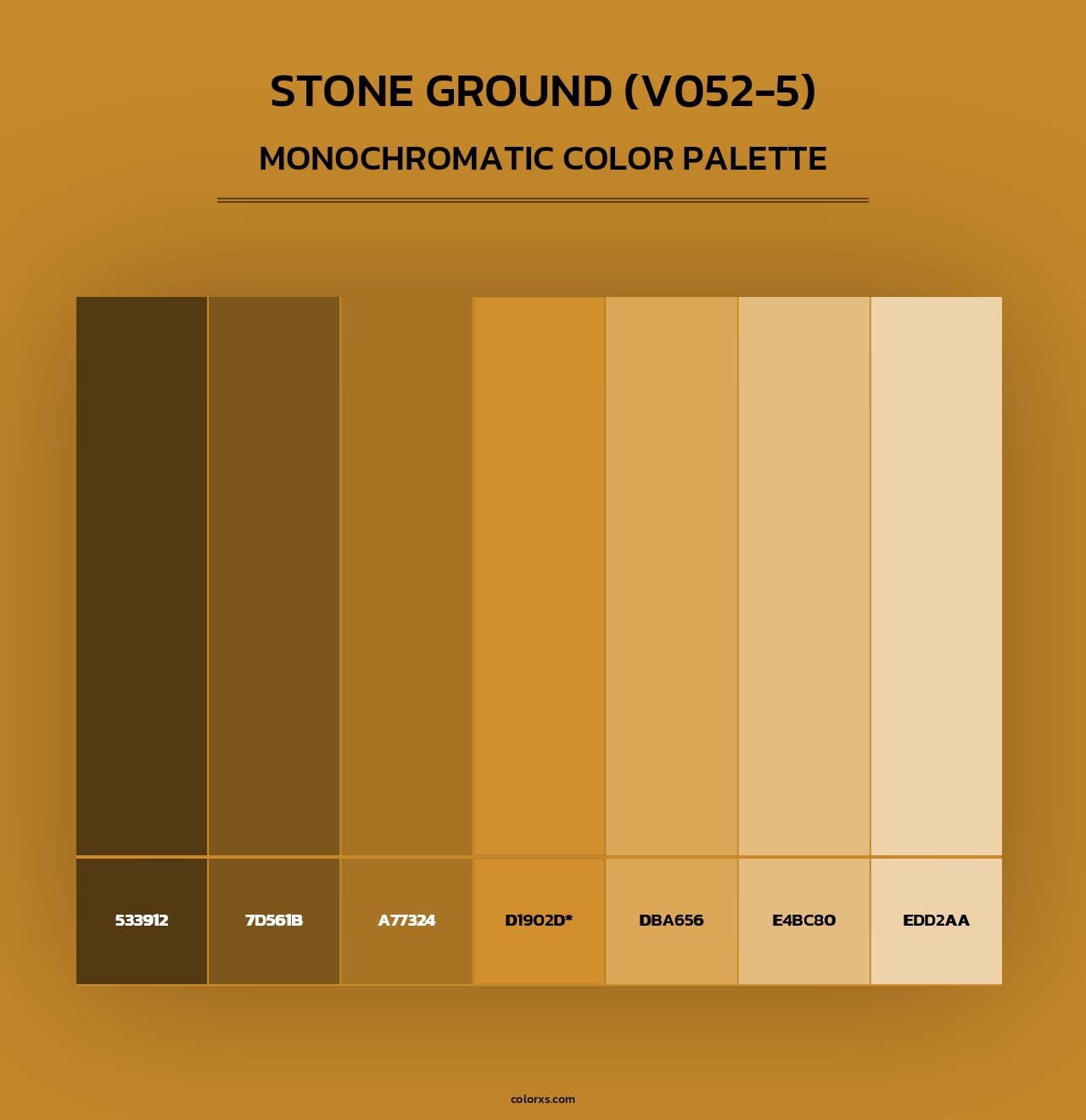 Stone Ground (V052-5) - Monochromatic Color Palette