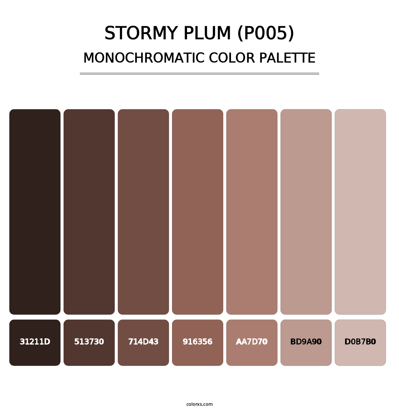 Stormy Plum (P005) - Monochromatic Color Palette