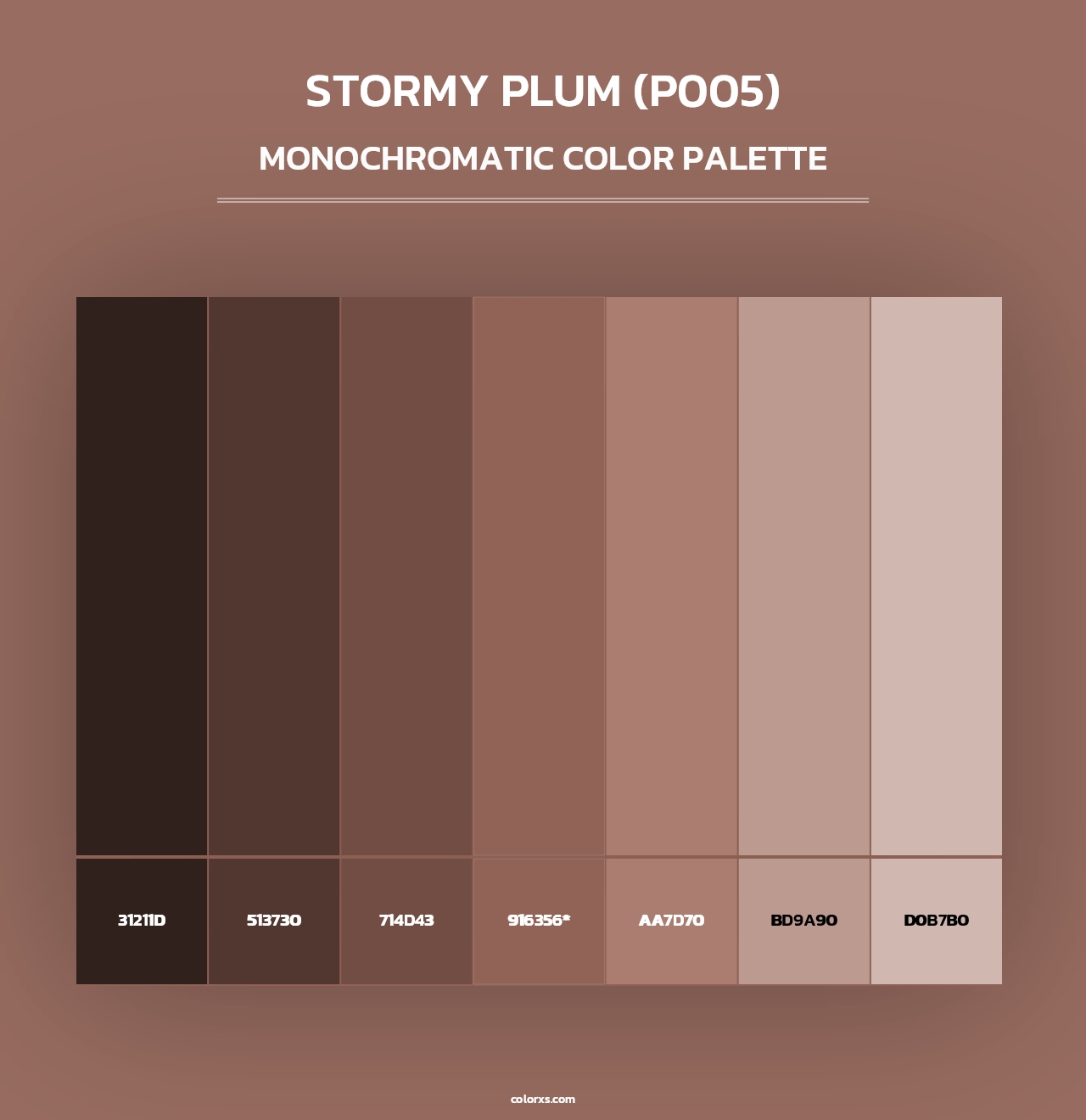 Stormy Plum (P005) - Monochromatic Color Palette